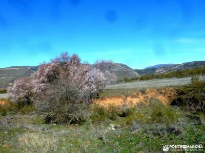 Cárcavas Alpedrete de la Sierra y Cerro Negro; viajes en mayo senderismo en ronda la casita del bos